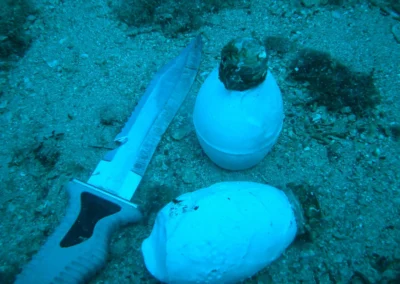 Grenades au phosphore blanc lors d’une expertise pyrotechnique