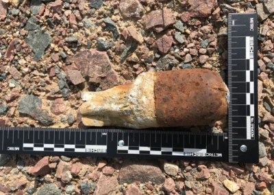 Grenade italienne Brixia présentée pour expertise pyrotechnique